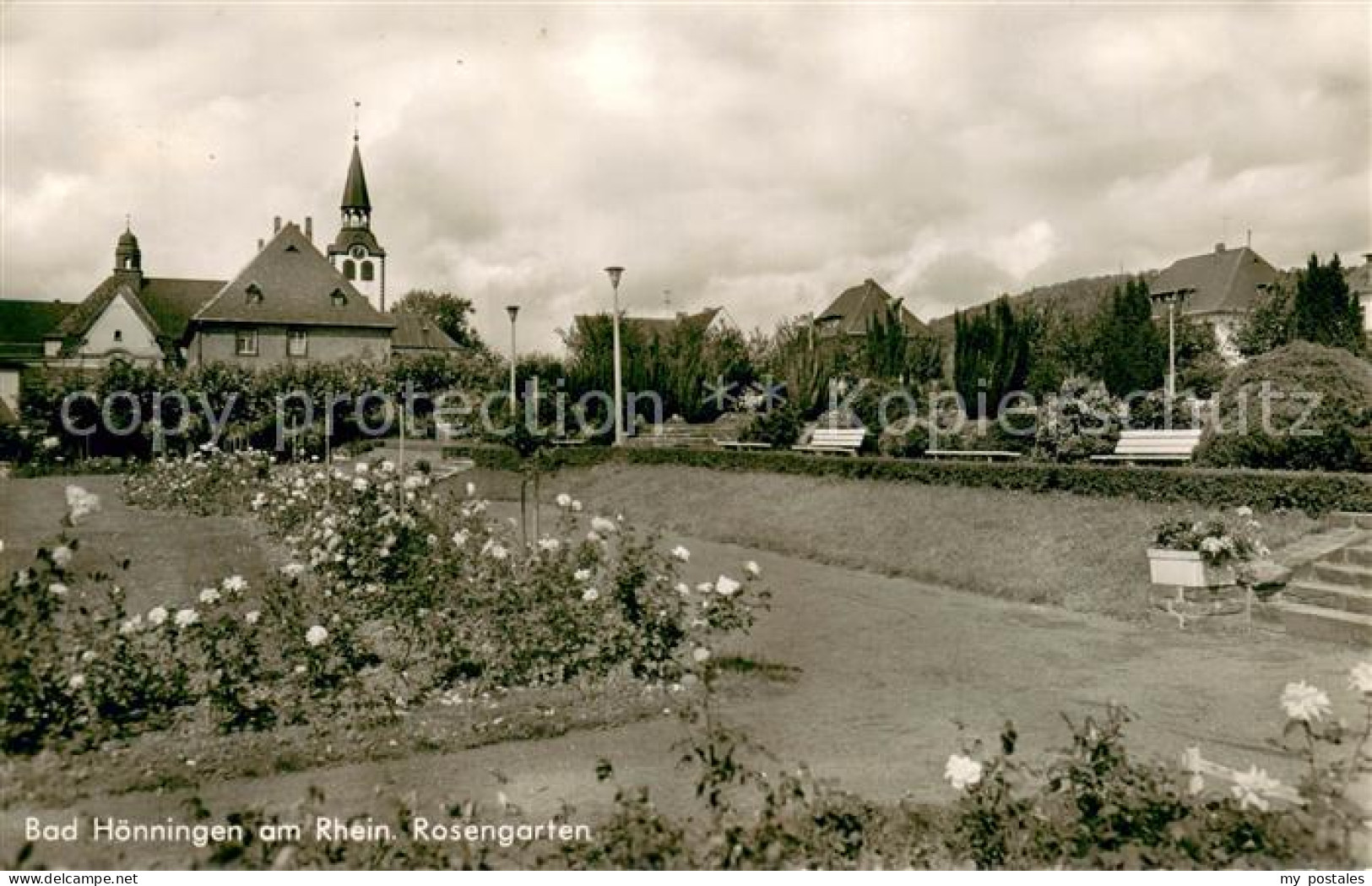Bad Hoenningen Rosengarten