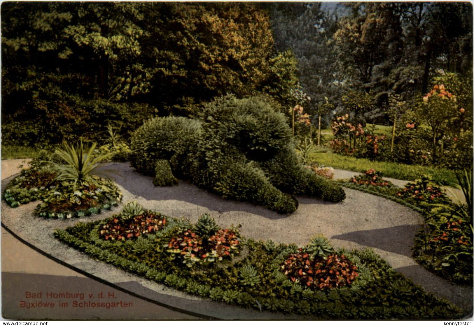 Bad Homburg - Buxlöwe