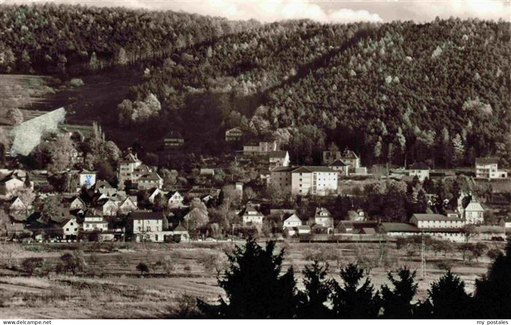 Bad Koenig Odenwald Panorama