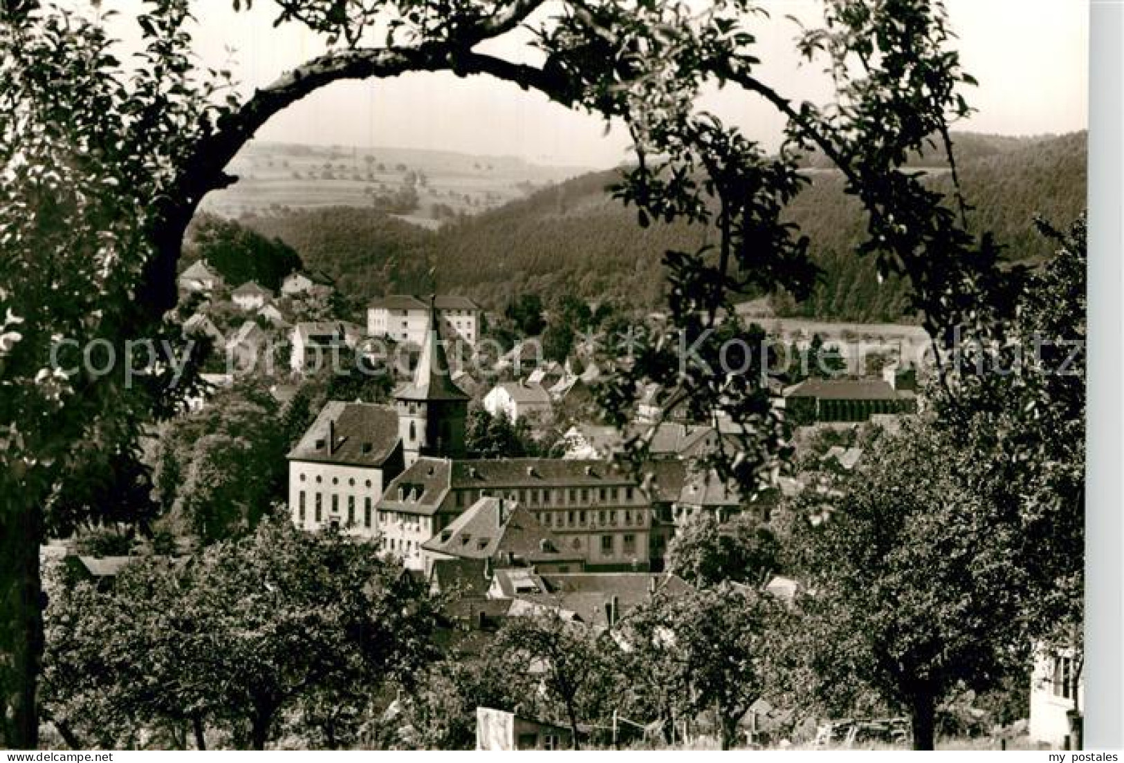 Bad Koenig Odenwald Panorama