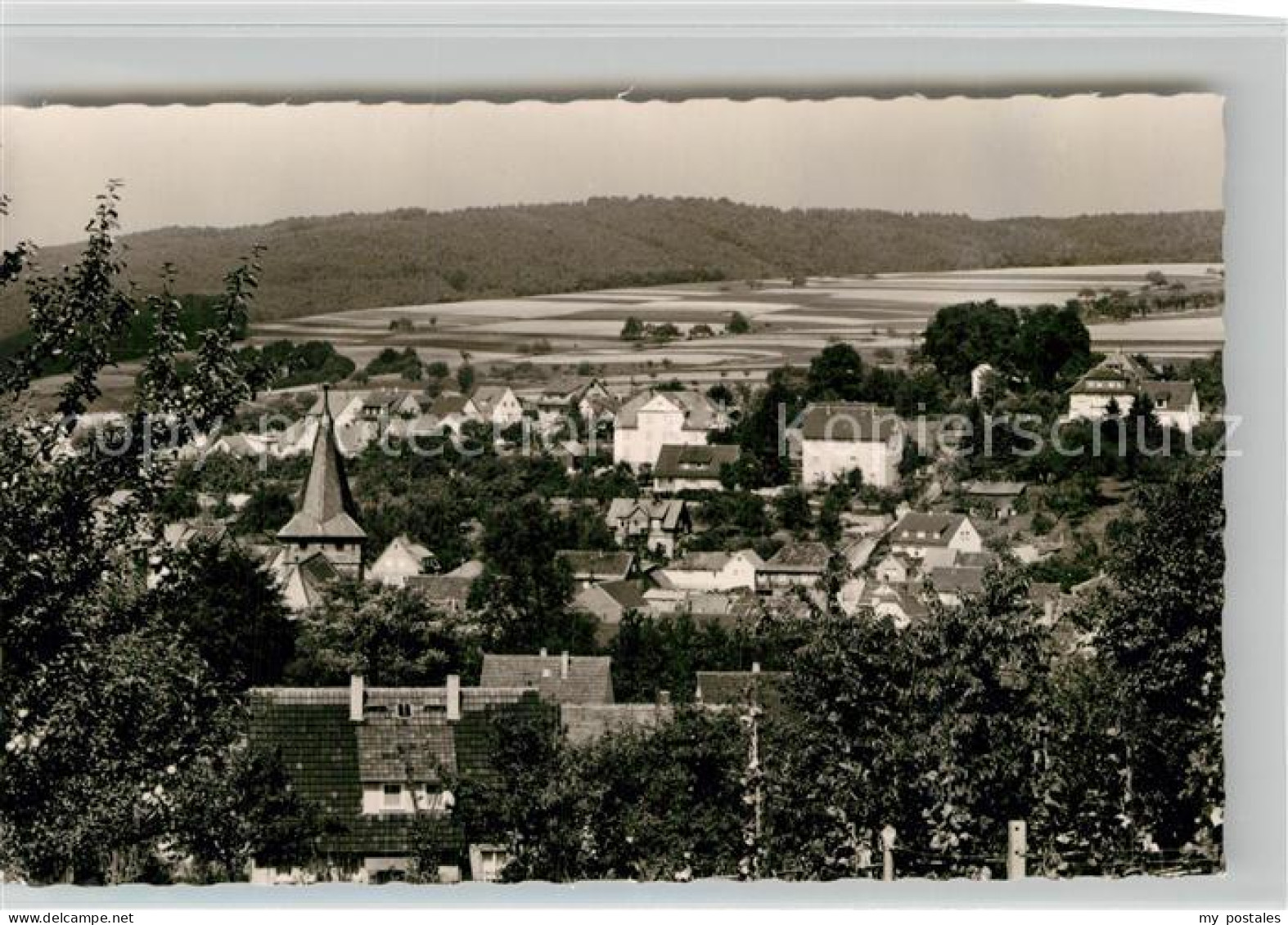 Bad Koenig Odenwald Panorama