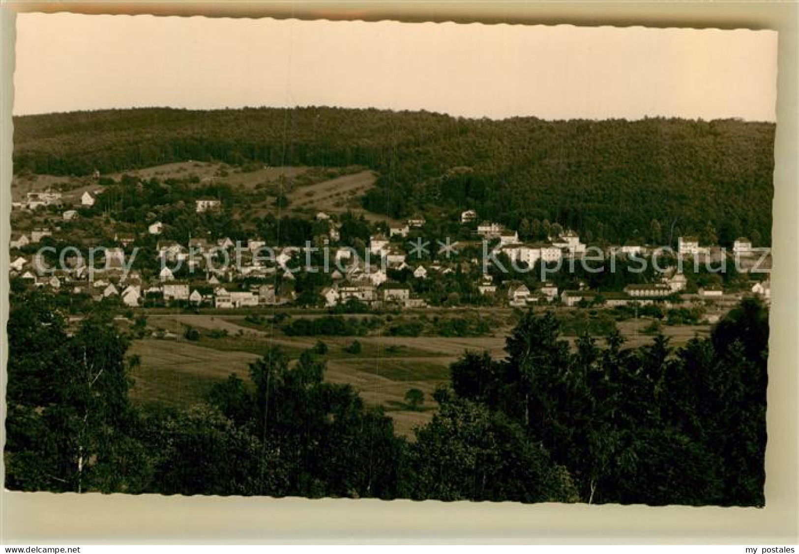 Bad Koenig Odenwald Panorama