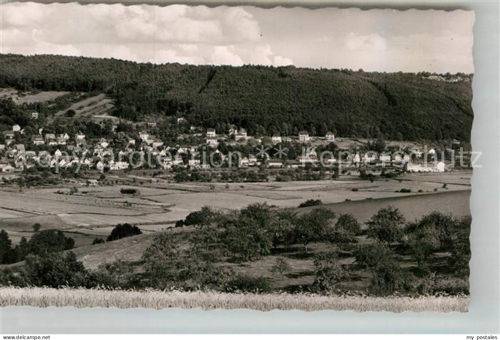 Bad Koenig Odenwald Panorama