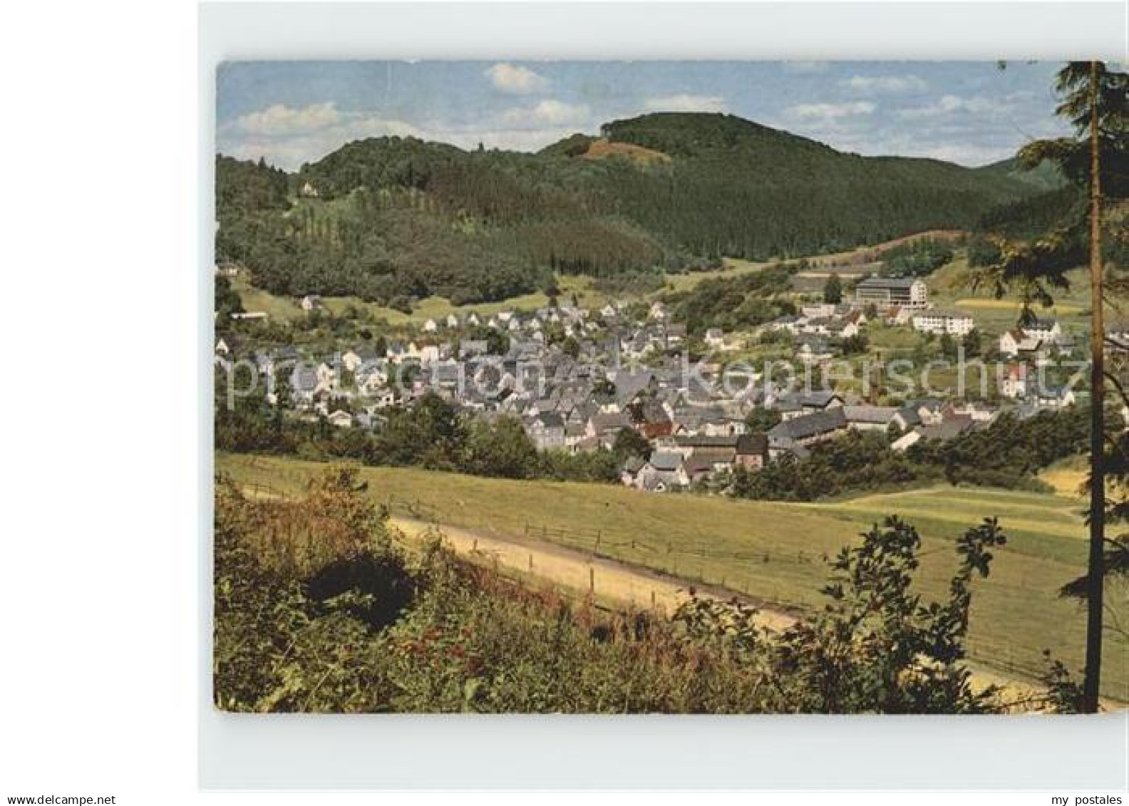 Bad Laasphe Panorama