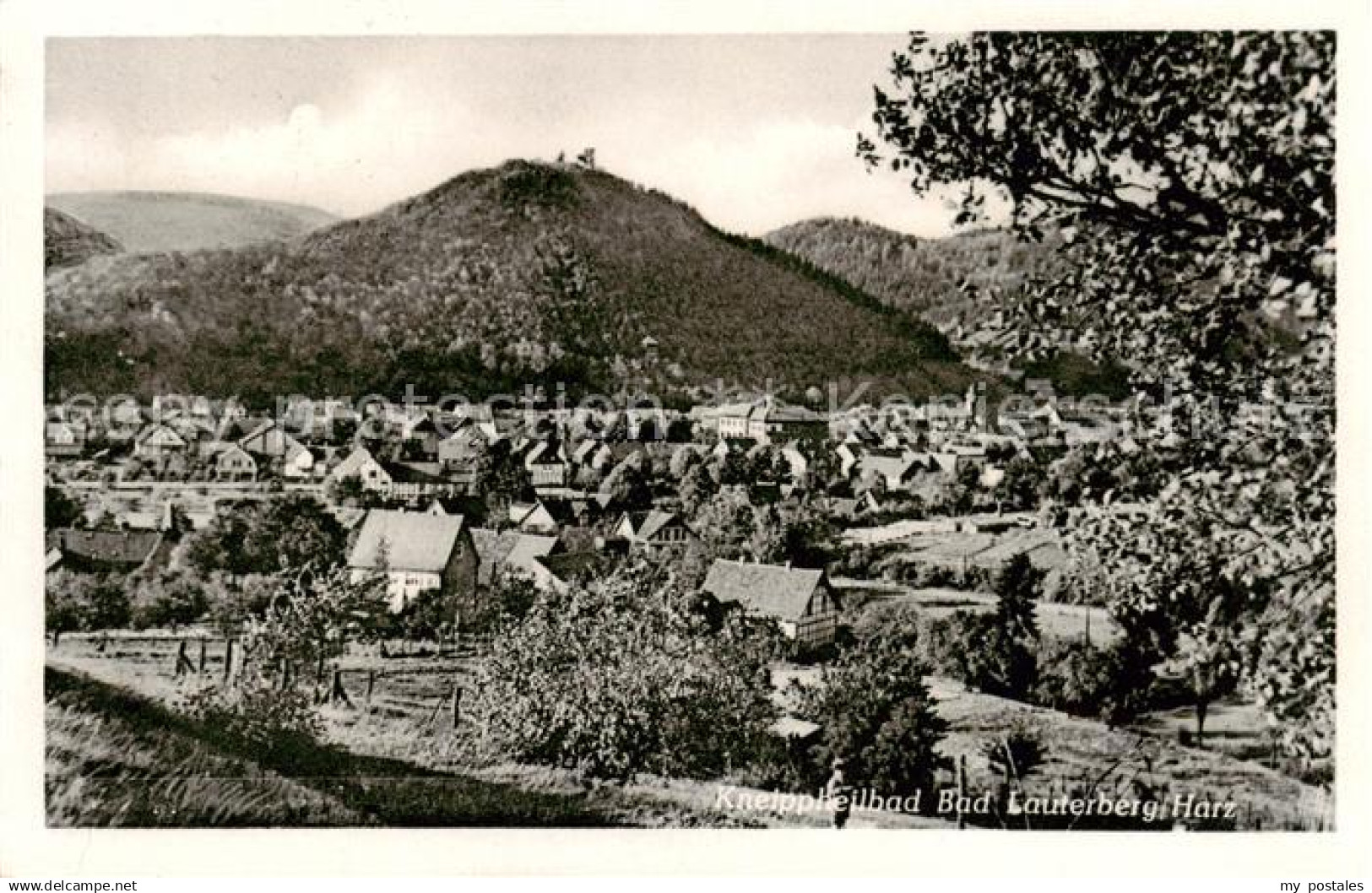 Bad Lauterberg Panorama
