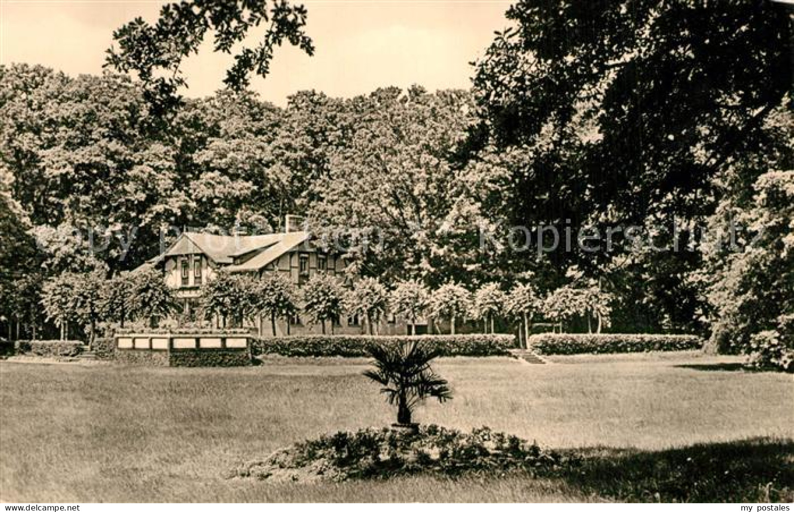 Bad Liebenwerda Partie im Waeldchen und Kindergarten