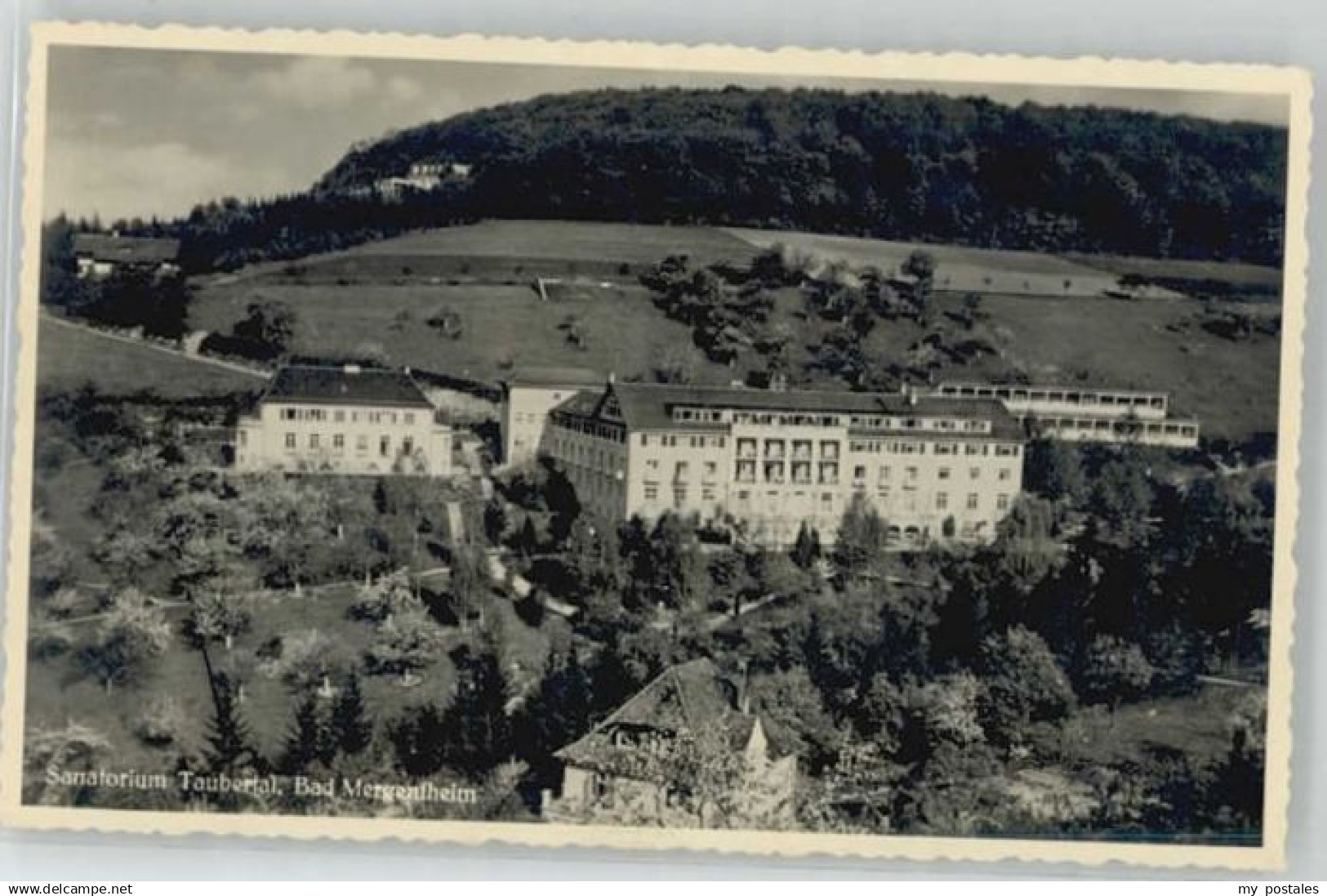Bad Mergentheim
