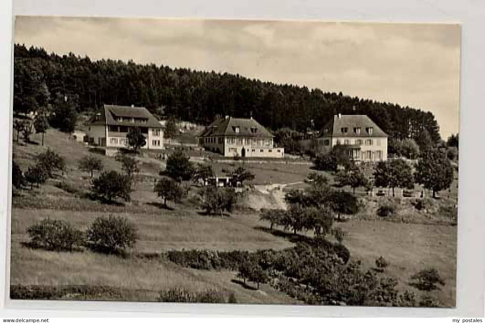 Bad Mergentheim Bad Mergentheim