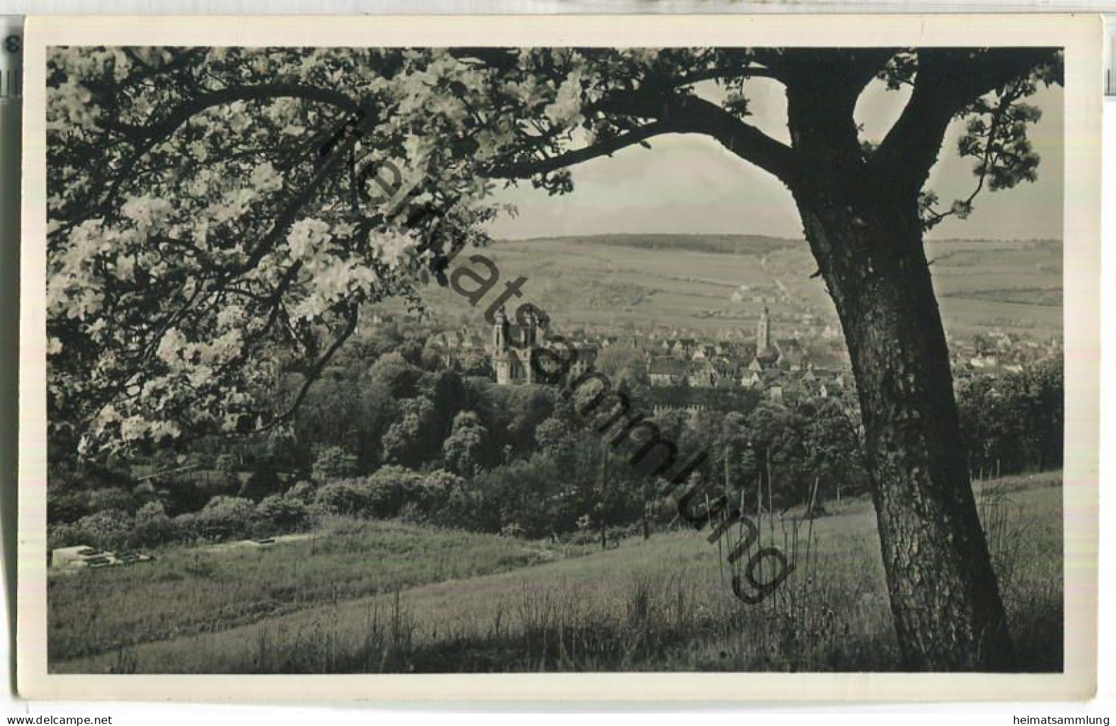 Bad Mergentheim - Foto-Ansichtskarte - Fotohaus Löhr Bad Mergentheim - gel. 1936