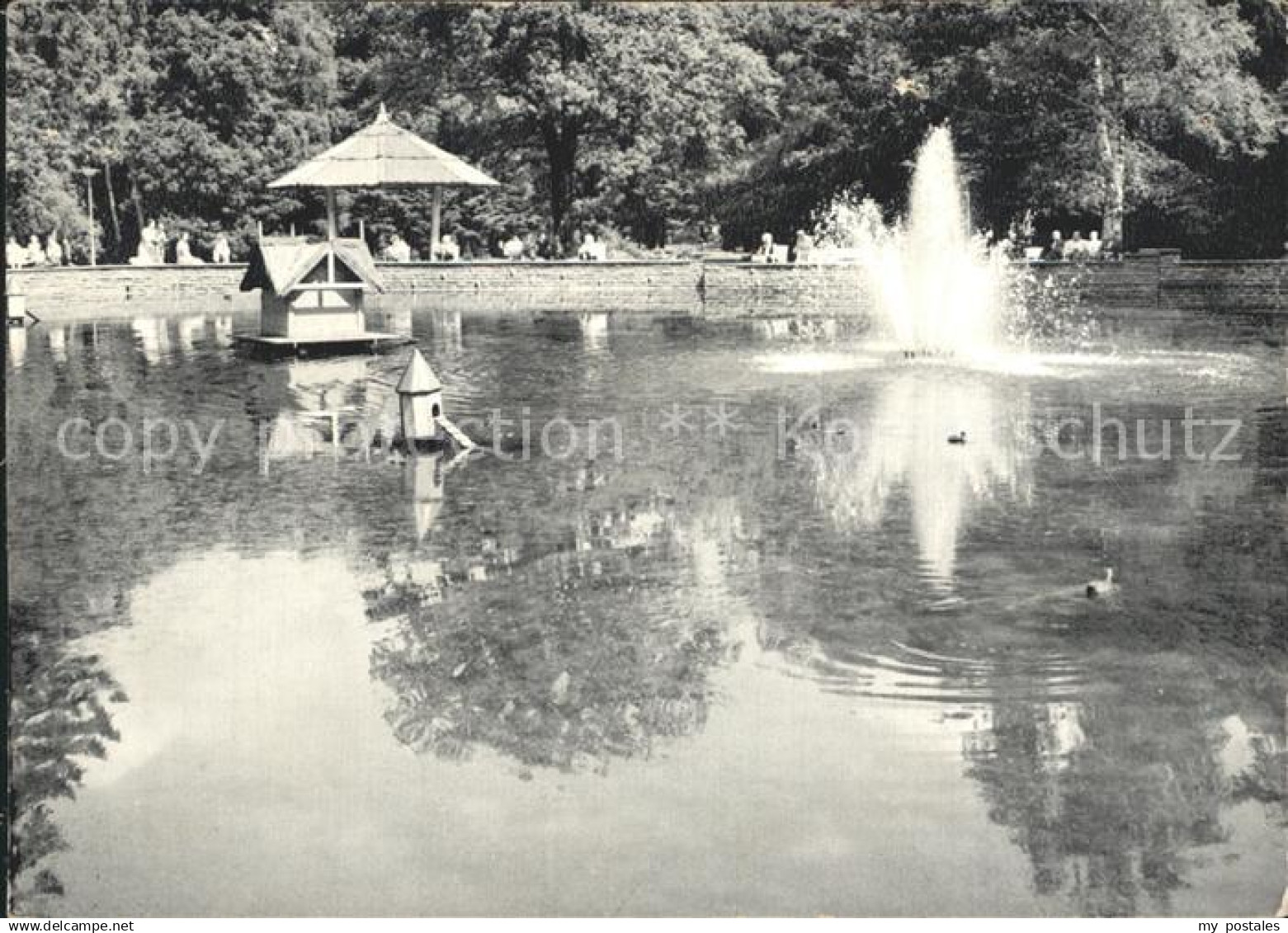 Bad Oeynhausen Goldfischteich