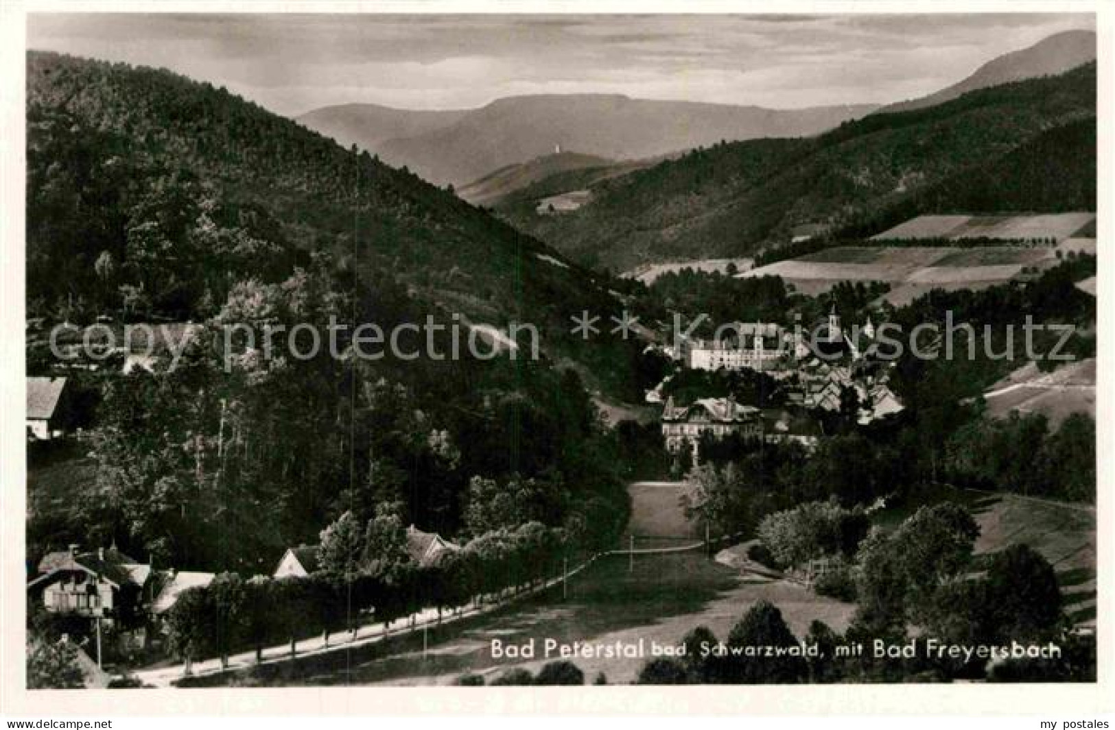 Bad Peterstal-Griesbach Bad Freyersbach Panorama