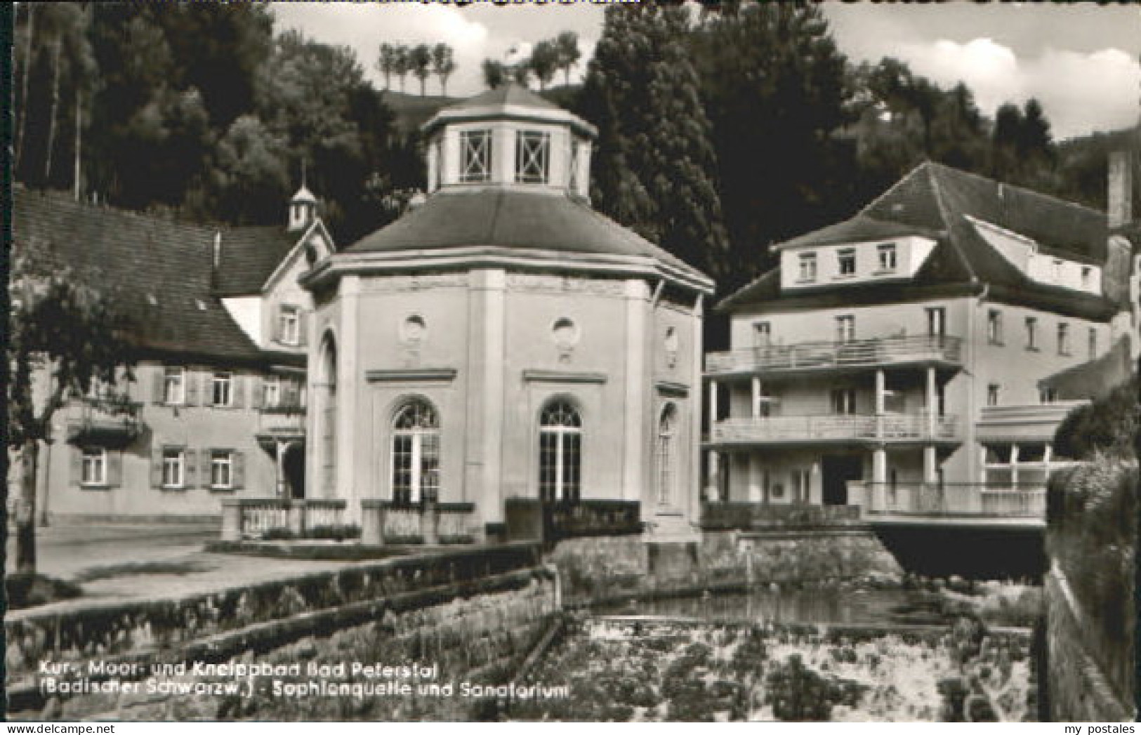 Bad Peterstal-Griesbach Bad Peterstal Quelle Sanatorium  x 1959