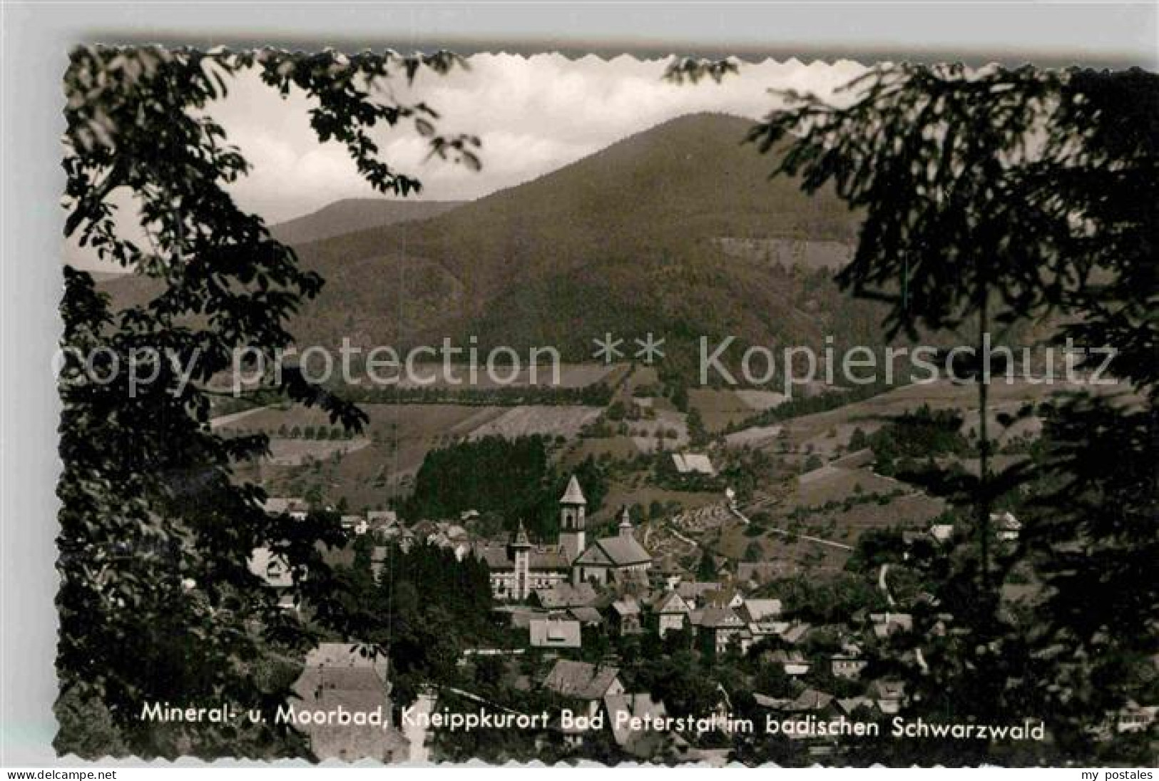 Bad Peterstal-Griesbach Panorama