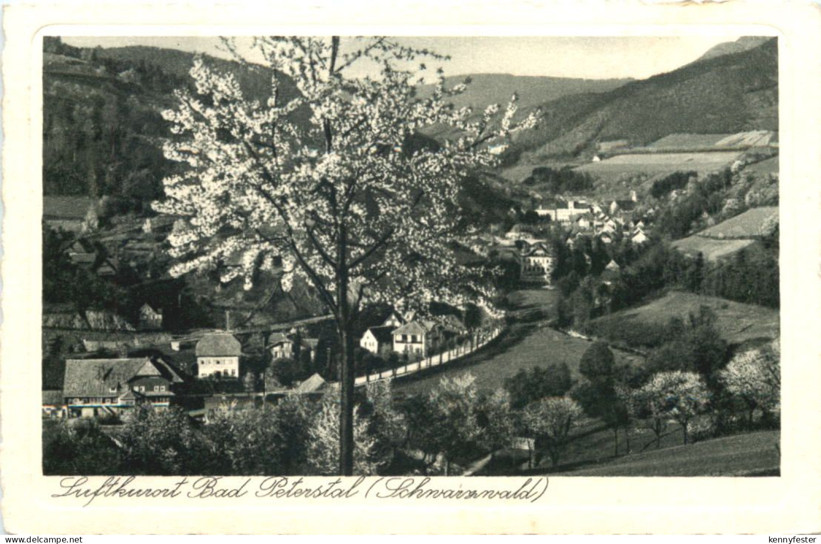 Bad Peterstal Schwarzwald