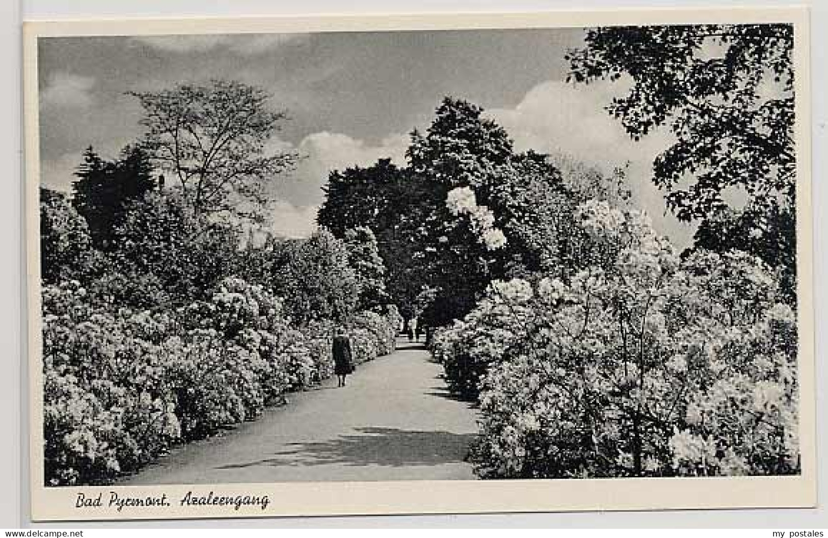 Bad Pyrmont Bad Pyrmont