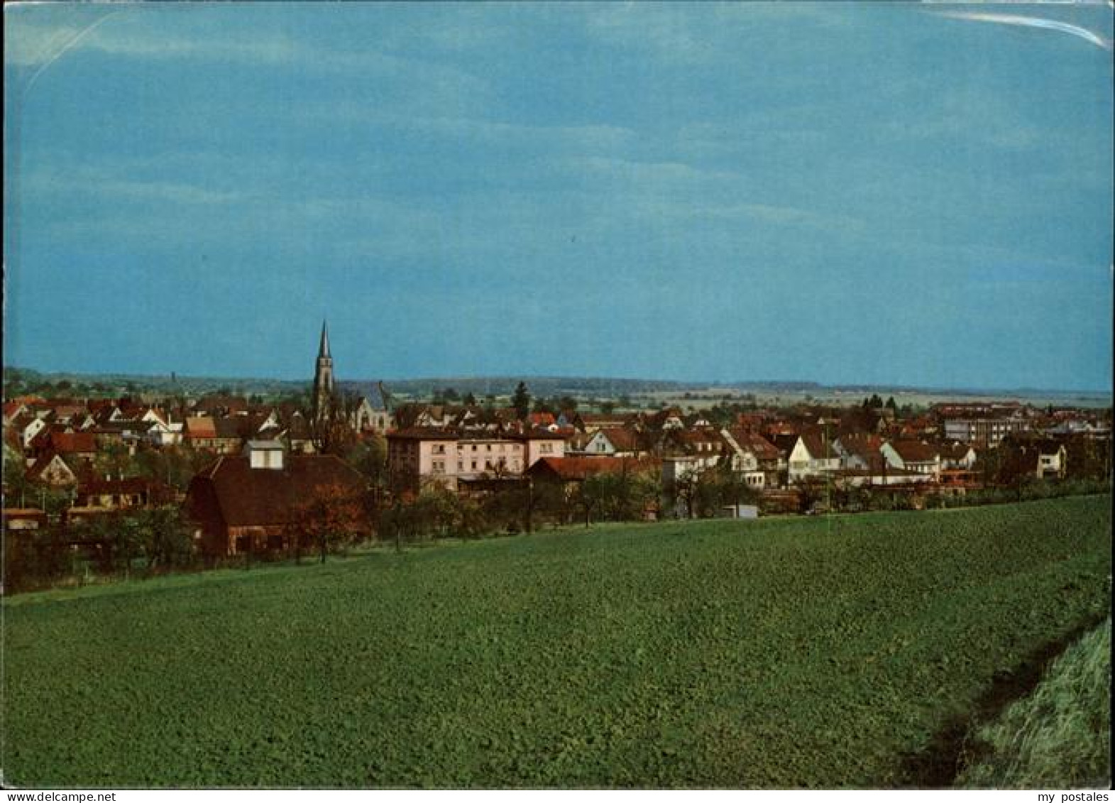 Bad Rappenau Panorama