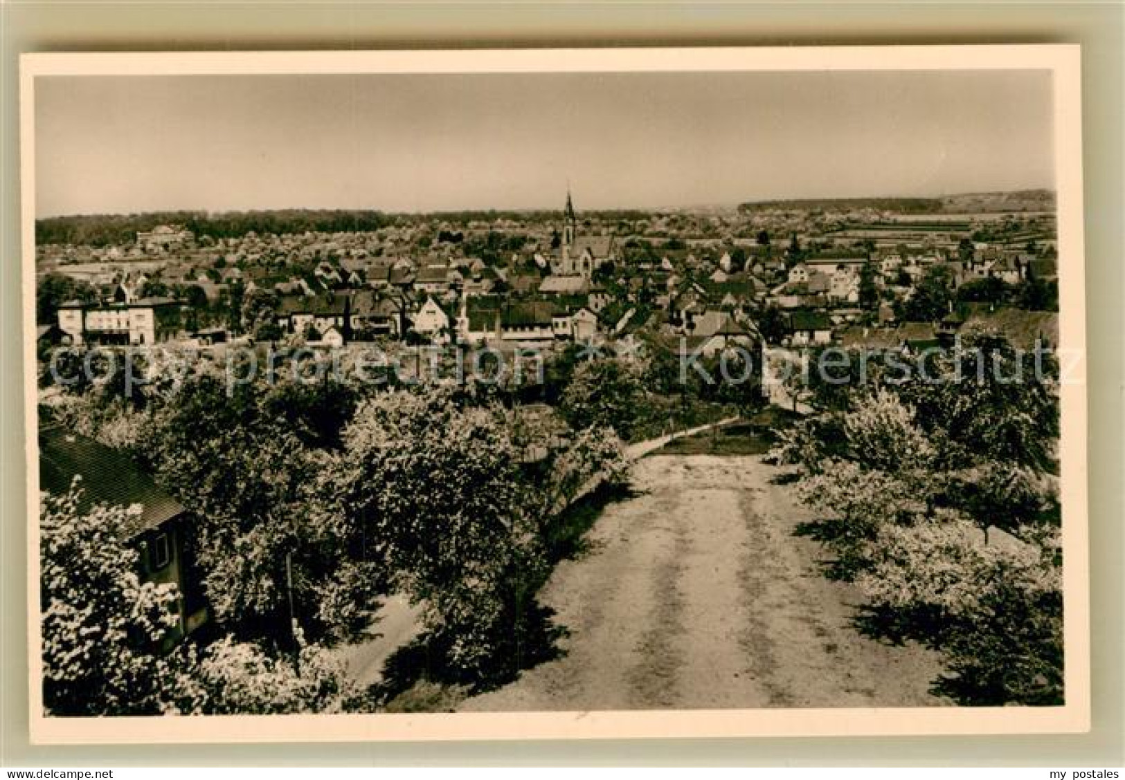 Bad Rappenau Panorama
