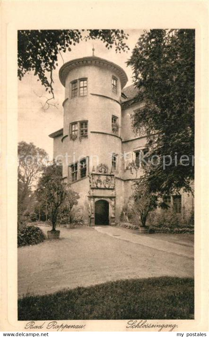 Bad Rappenau Schlosseingang