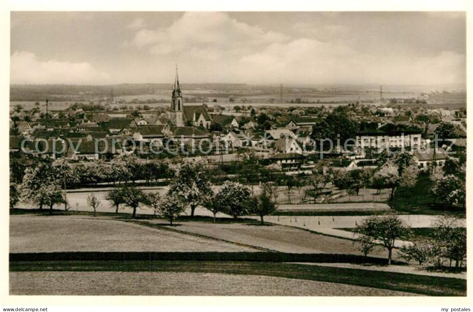 Bad Rappenau Stadtpanorama
