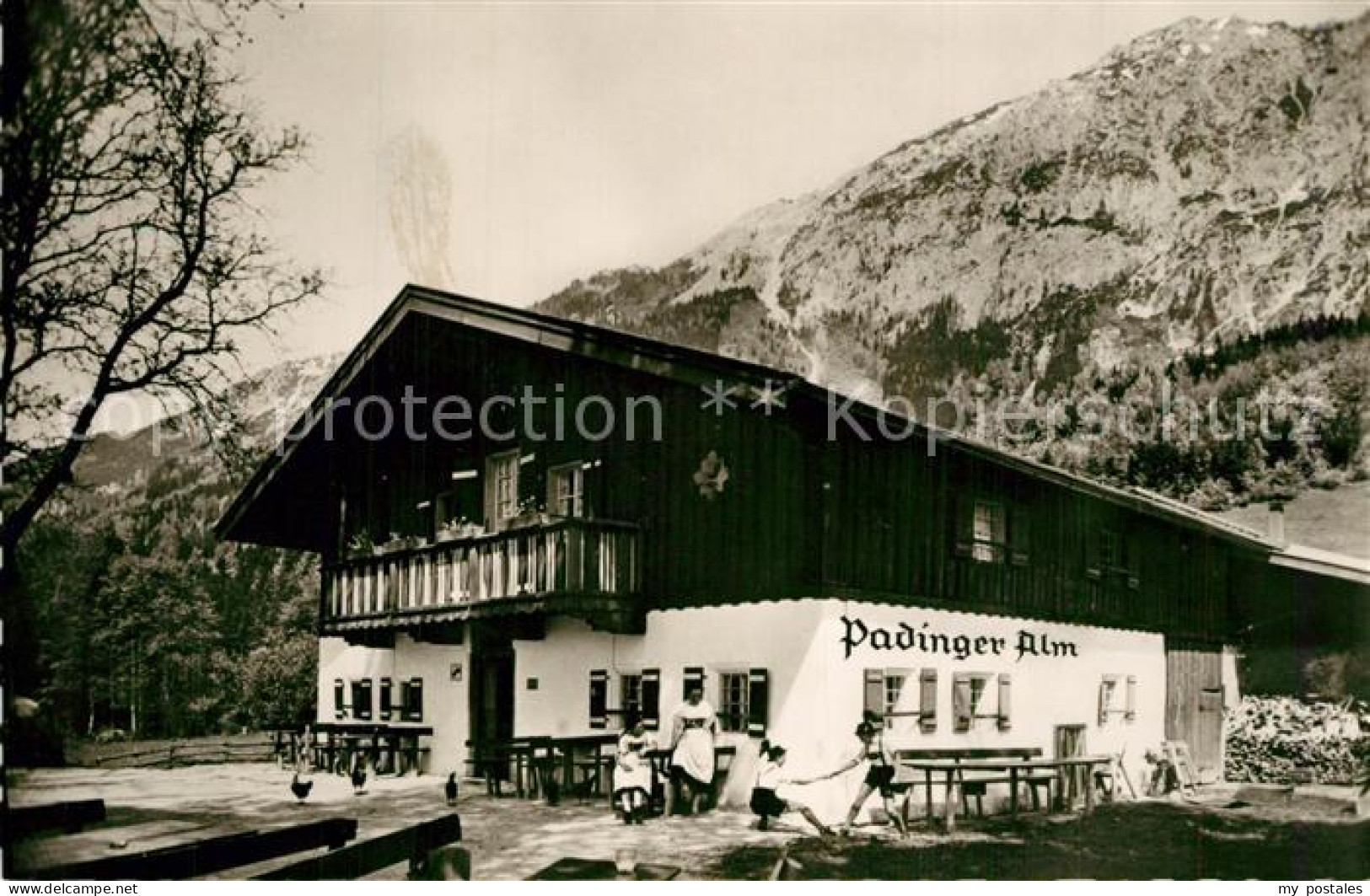 Bad Reichenhall Padinger Alm gegen Staufen Chiemgauer Alpen