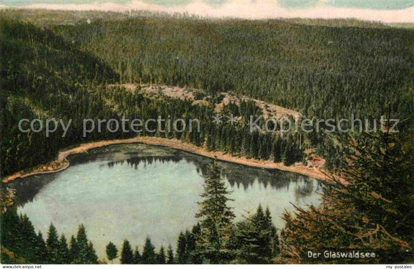 Bad Rippoldsau-Schapbach Glaswaldsee