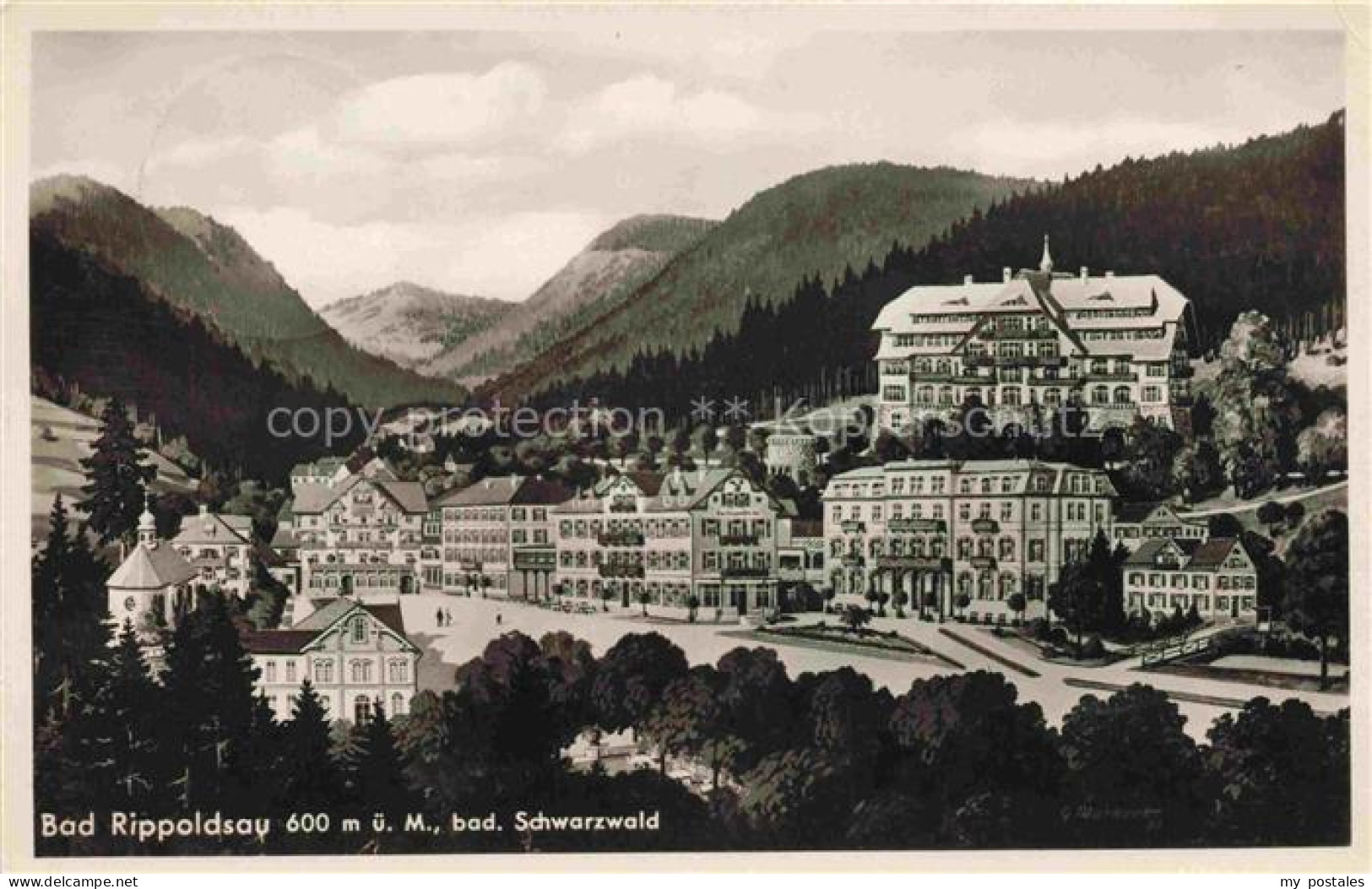 BAD RIPPOLDSAU-SCHAPBACH Panorama