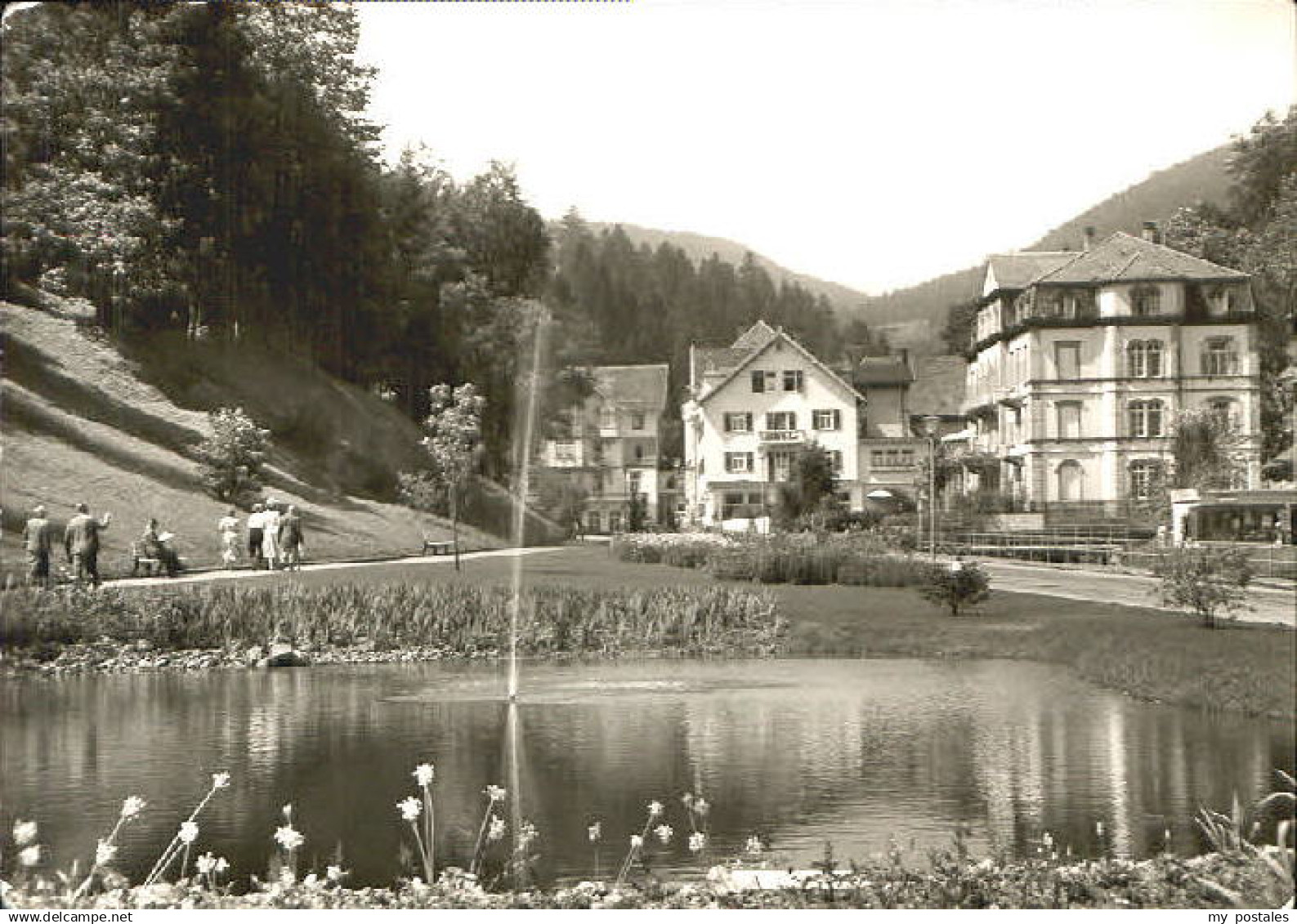 Bad Rippoldsau Schwarzwald Bad Rippoldsau Schapbach