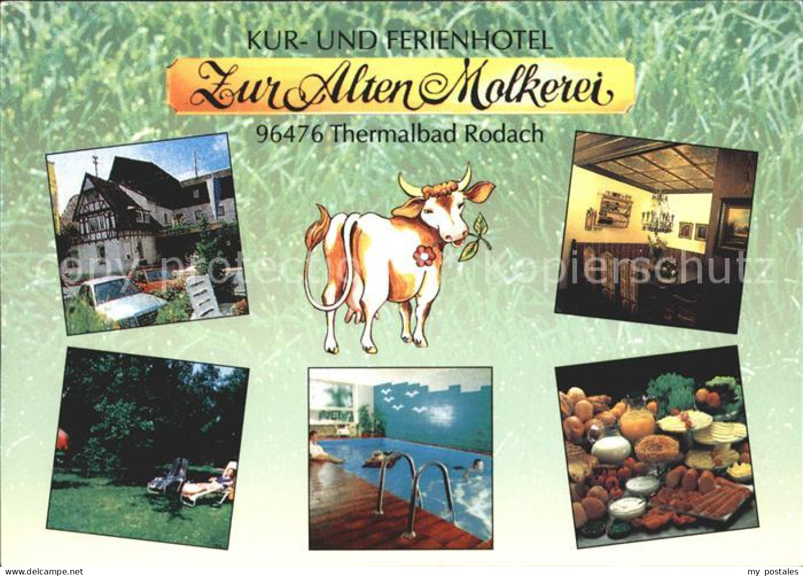 Bad Rodach Kurhotel Ferienhotel Zur Alten Molkerei Hallenbad Kuh