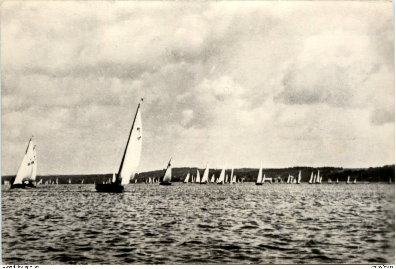 Bad Saarow-Pieskow, segelregatta