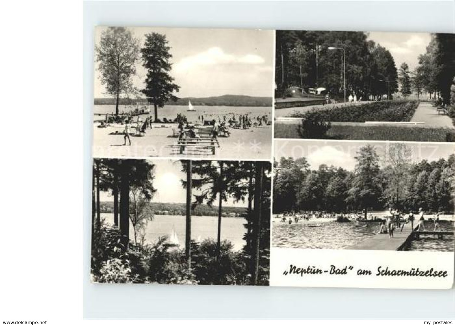 Bad Saarow Scharmuetzelsee