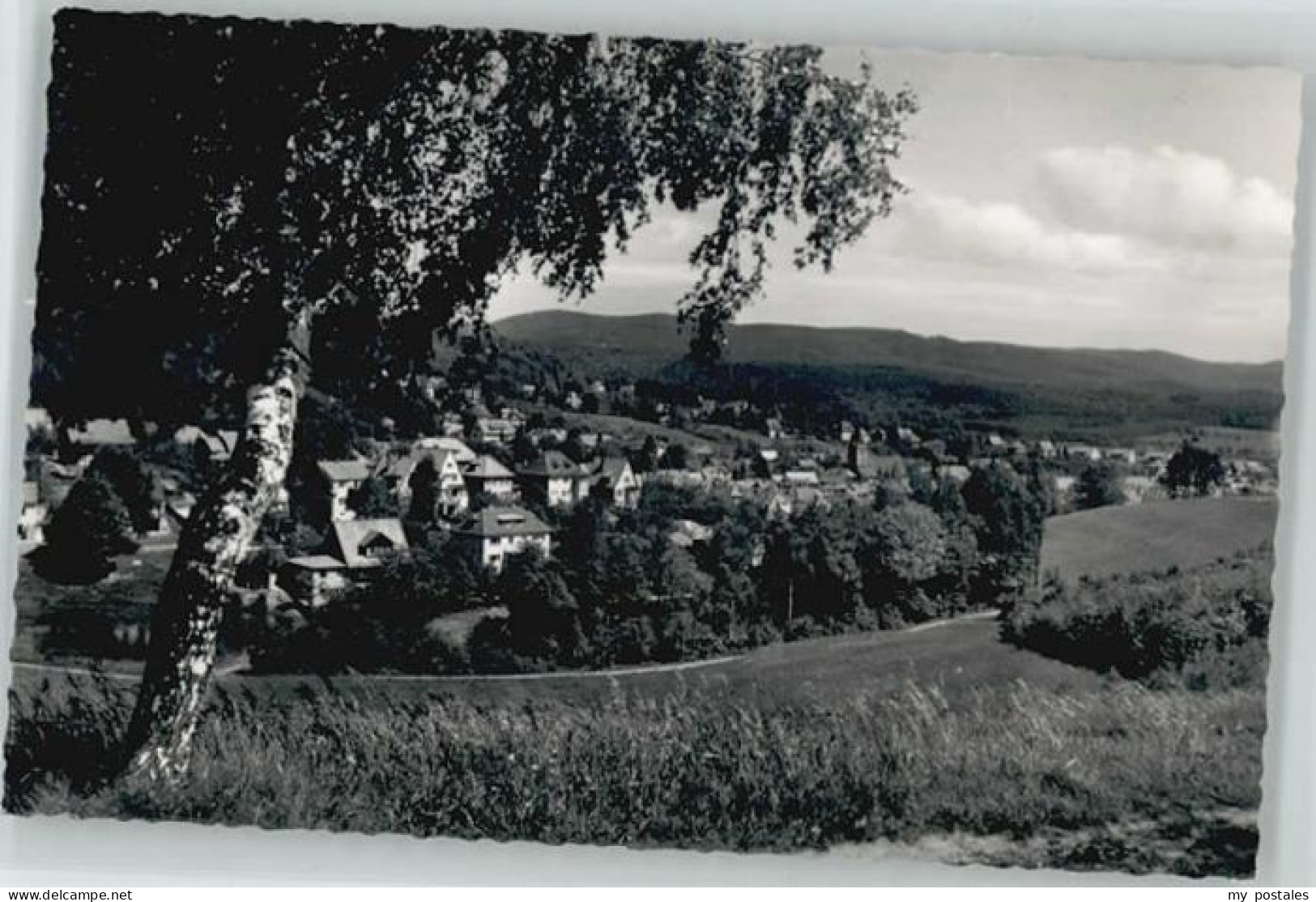 Bad Sachsa Harz Bad Sachsa