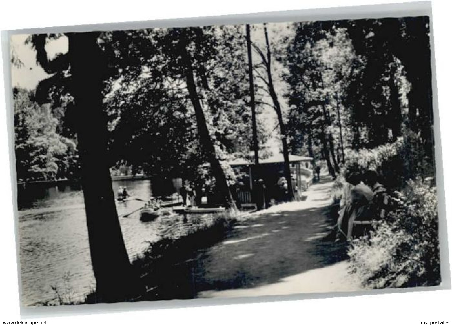 Bad Sachsa Harz Bad Sachsa Schmelzteich