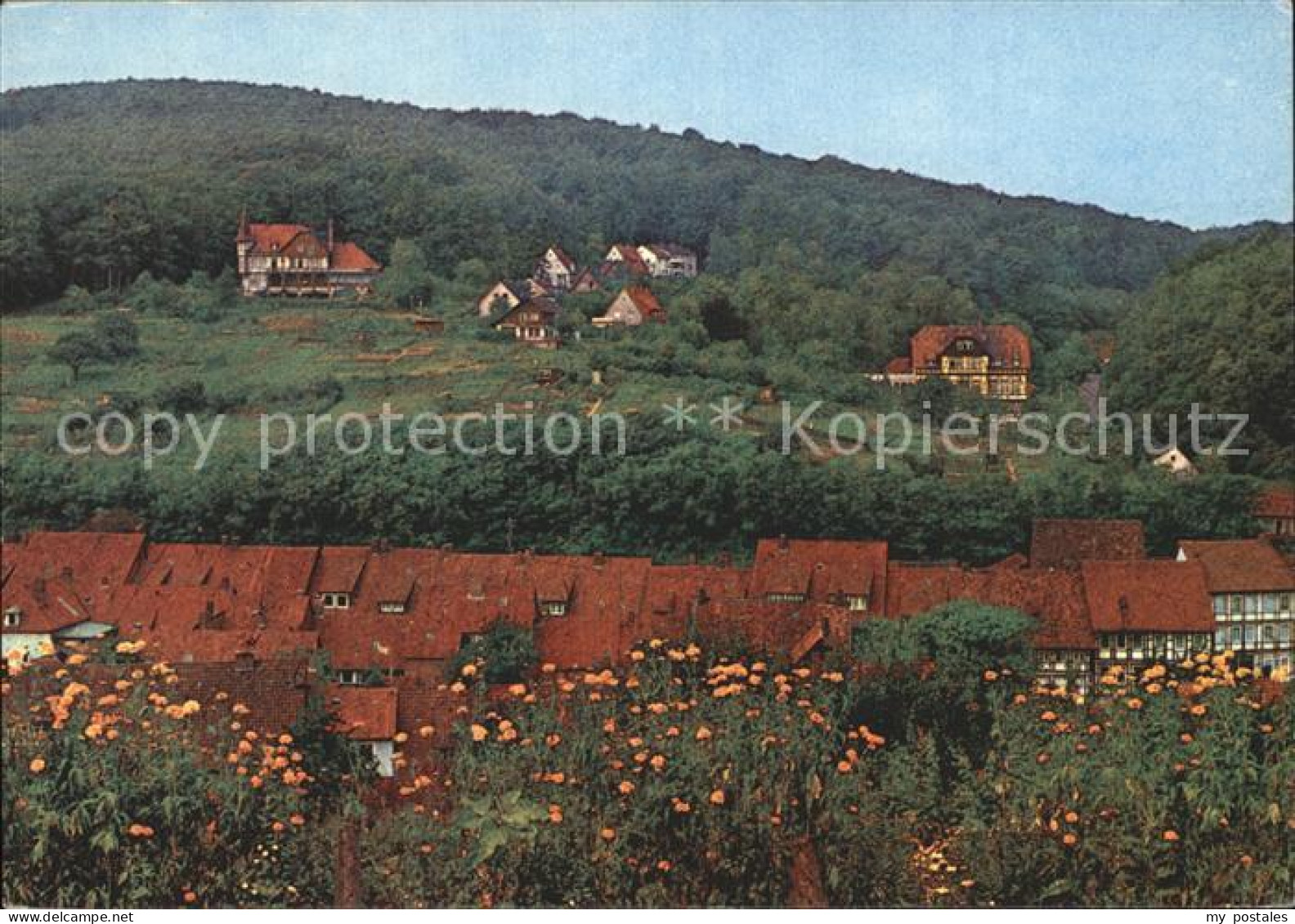 Bad Salzdetfurth Moor- und Solbad