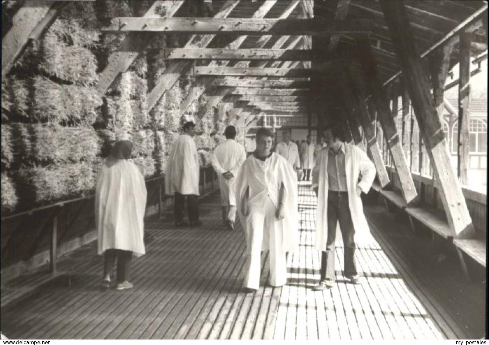 Bad Salzungen Gradierwerk