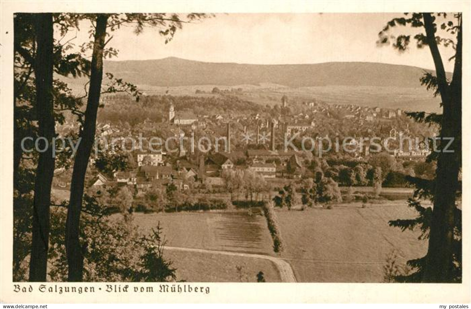 Bad Salzungen Panorama Blick vom Muehlberg