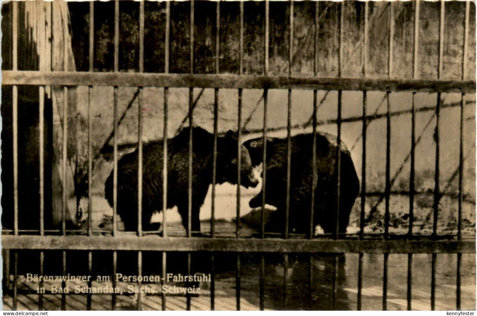 Bad Schandau, Bärenzwinger am Personen-Fahrstuhl