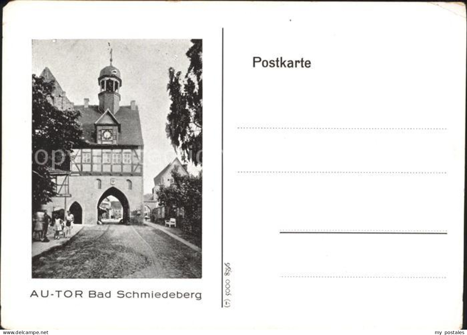 Bad Schmiedeberg Autor