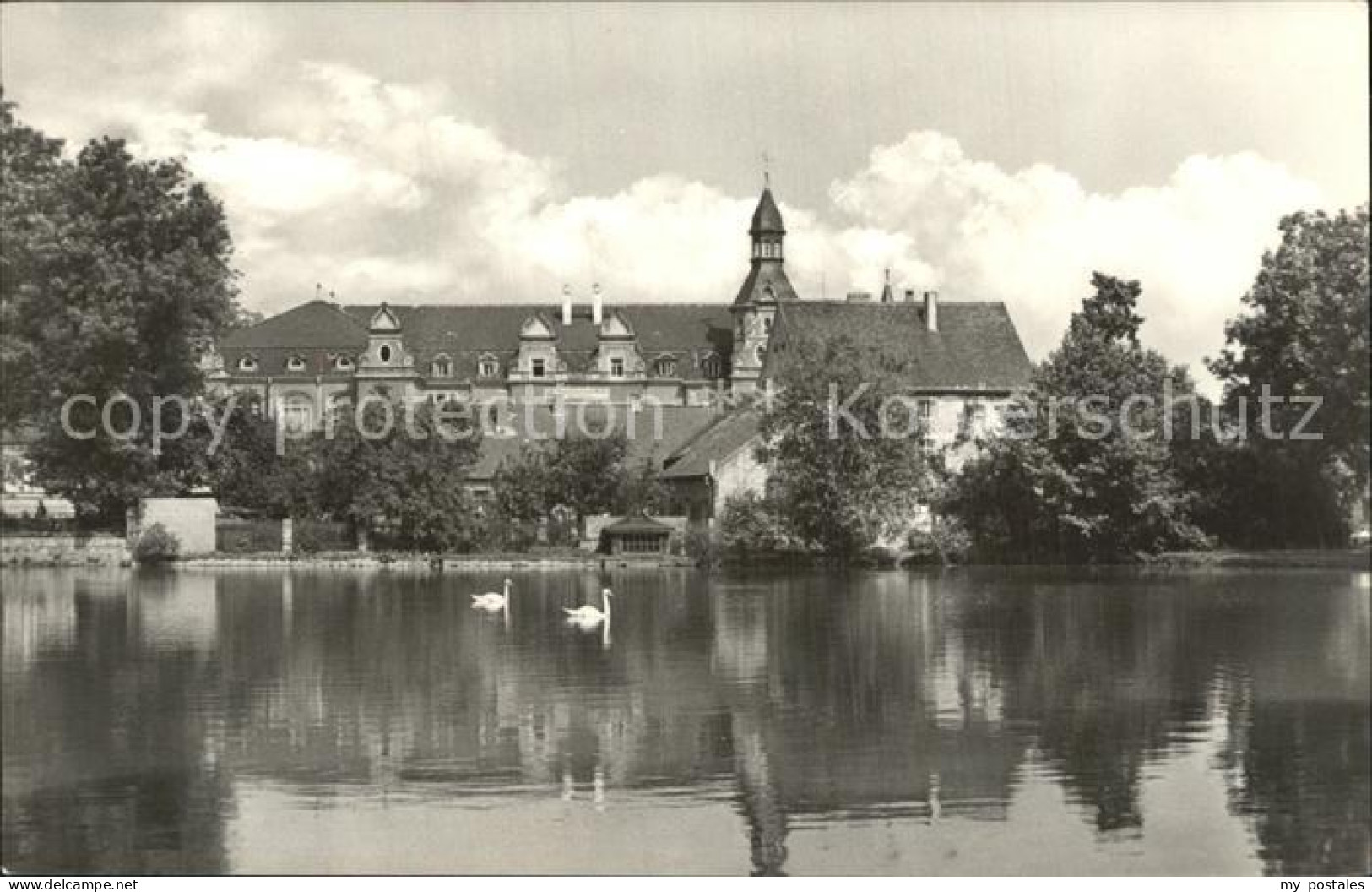 Bad Schmiedeberg Schwanenteich