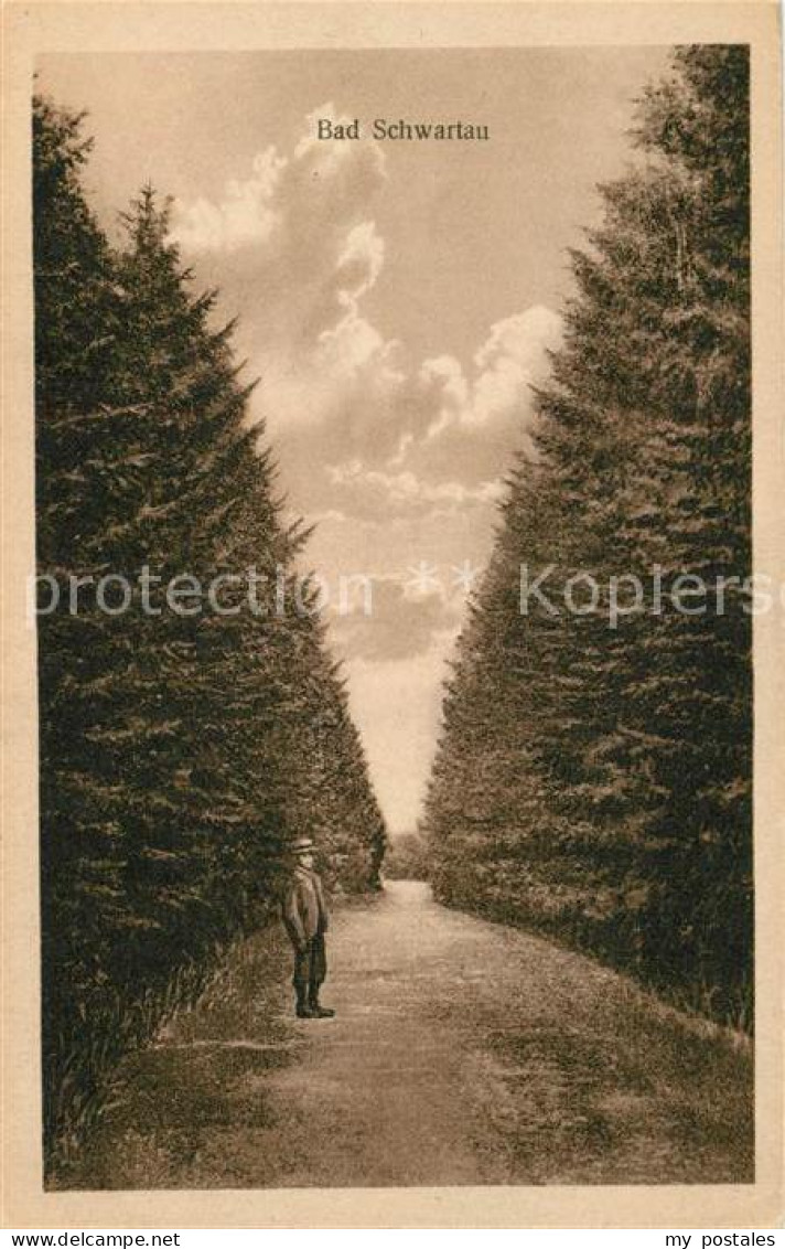 Bad Schwartau Waldweg Foerster