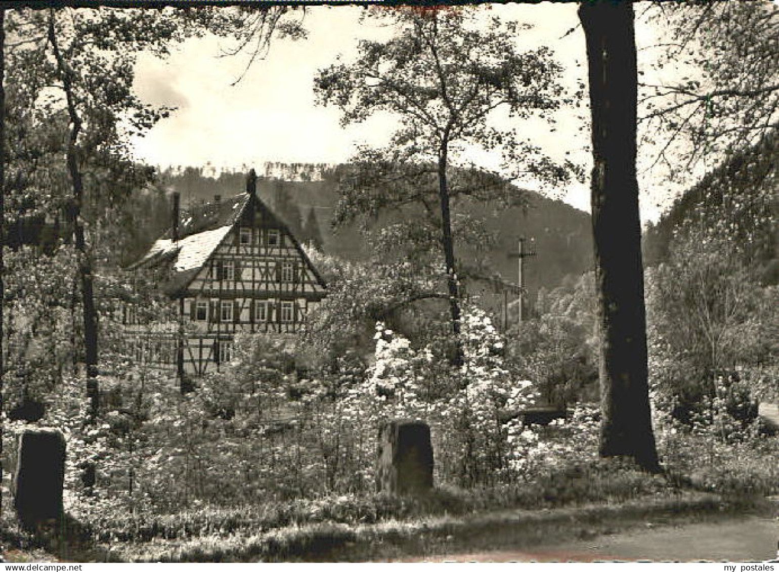 Bad Teinach-Zavelstein Bad Teinach