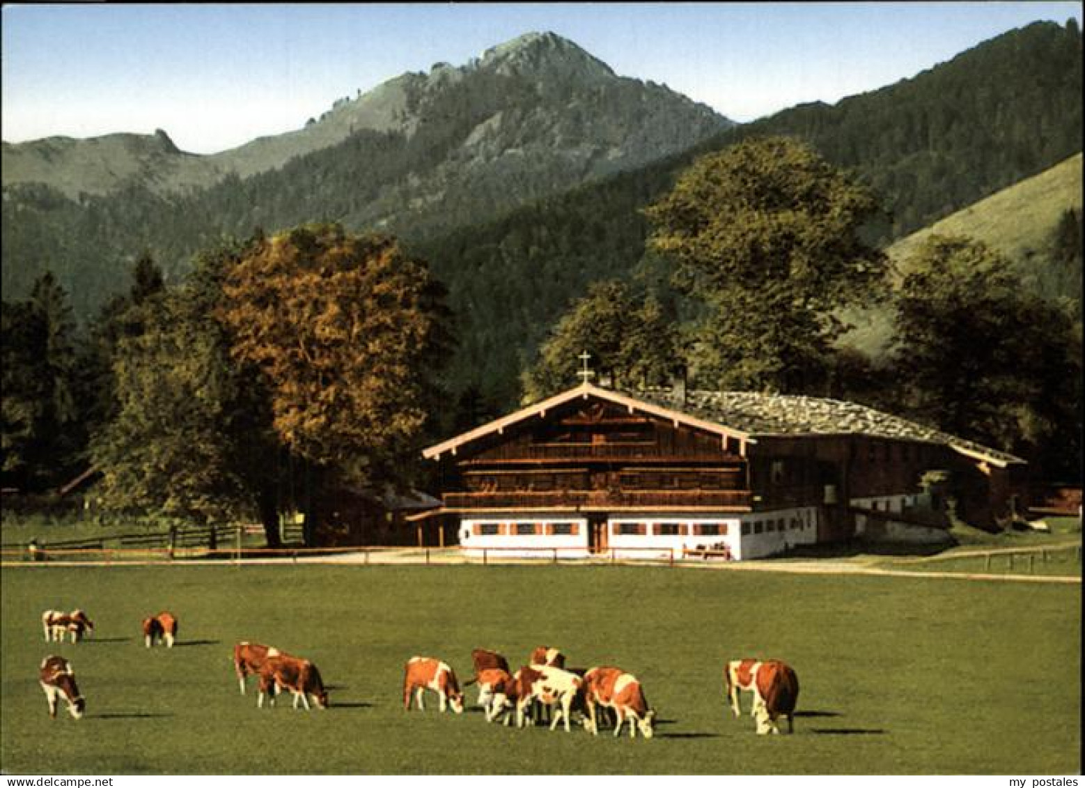Bad Wiessee ---