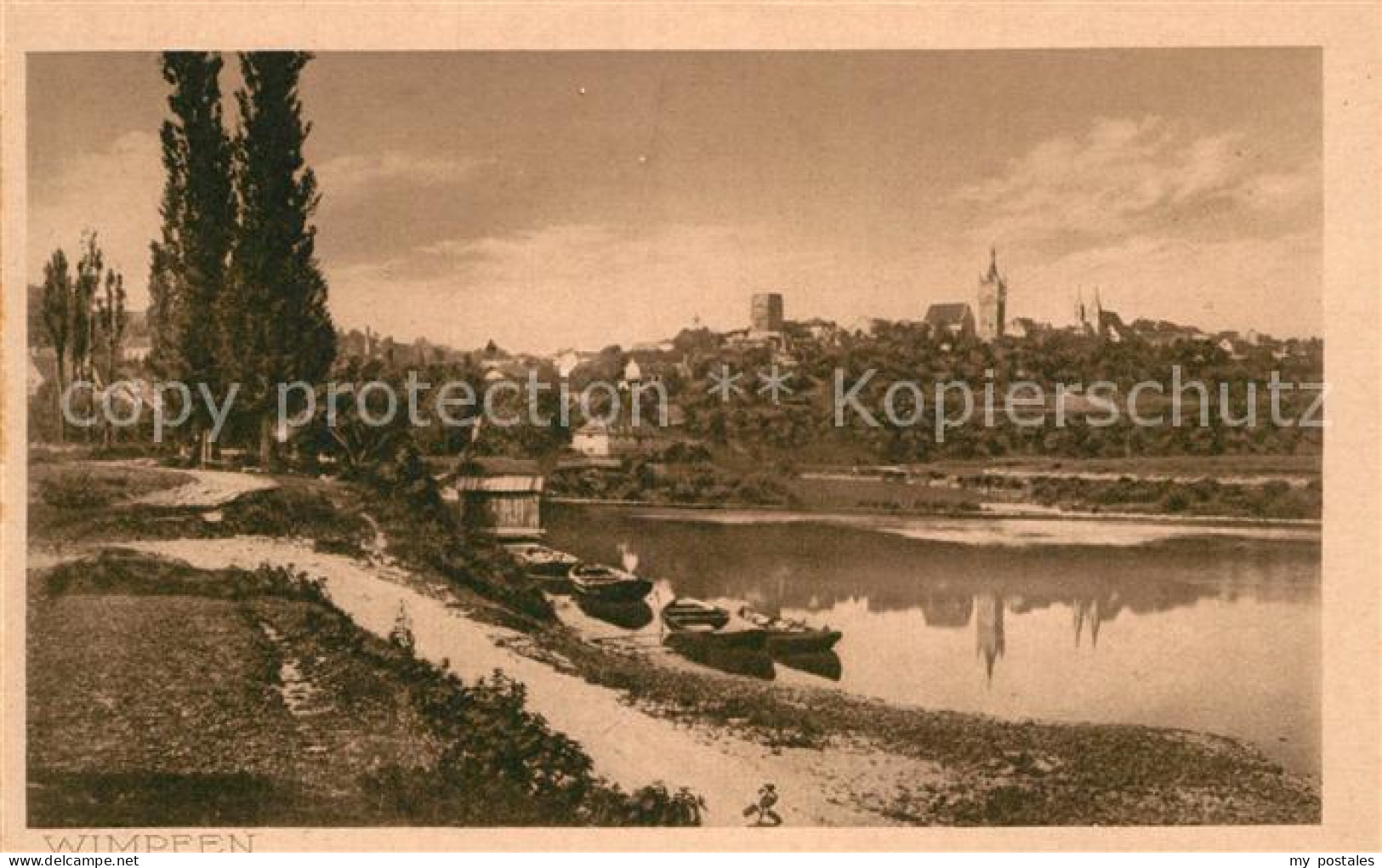 Bad Wimpfen Panorama