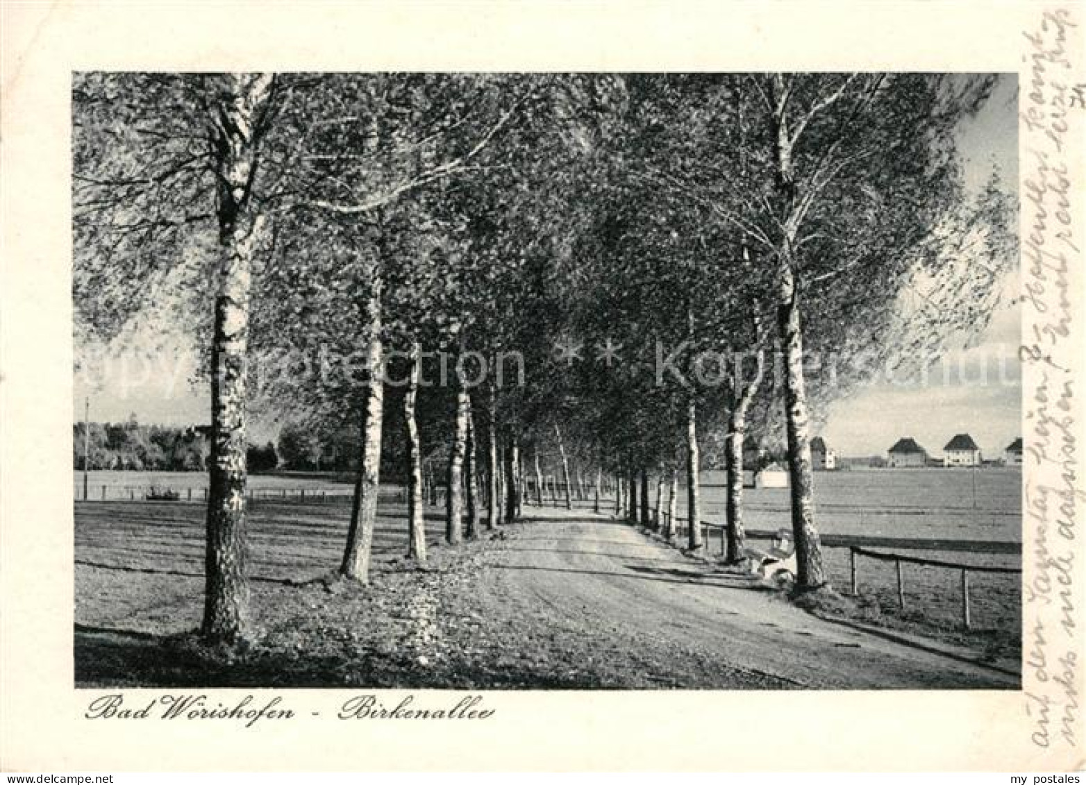 Bad Woerishofen Birkenallee