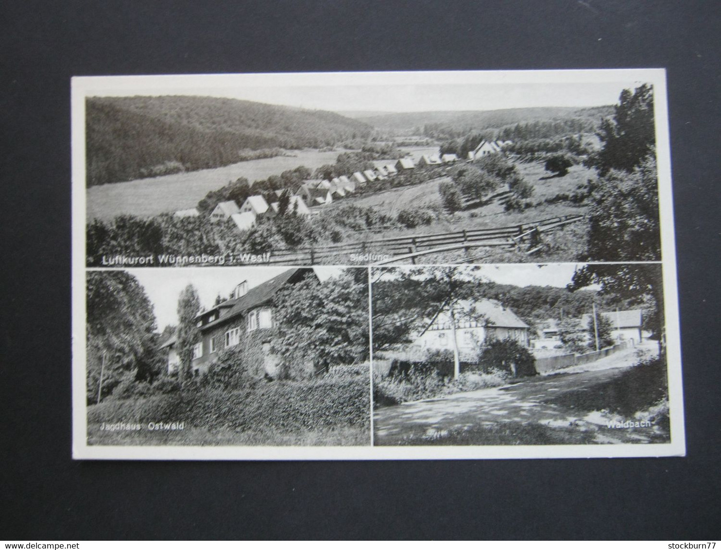 Bad Wünnenberg   , Jagdhaus ,  Schöne  Karte um 1960