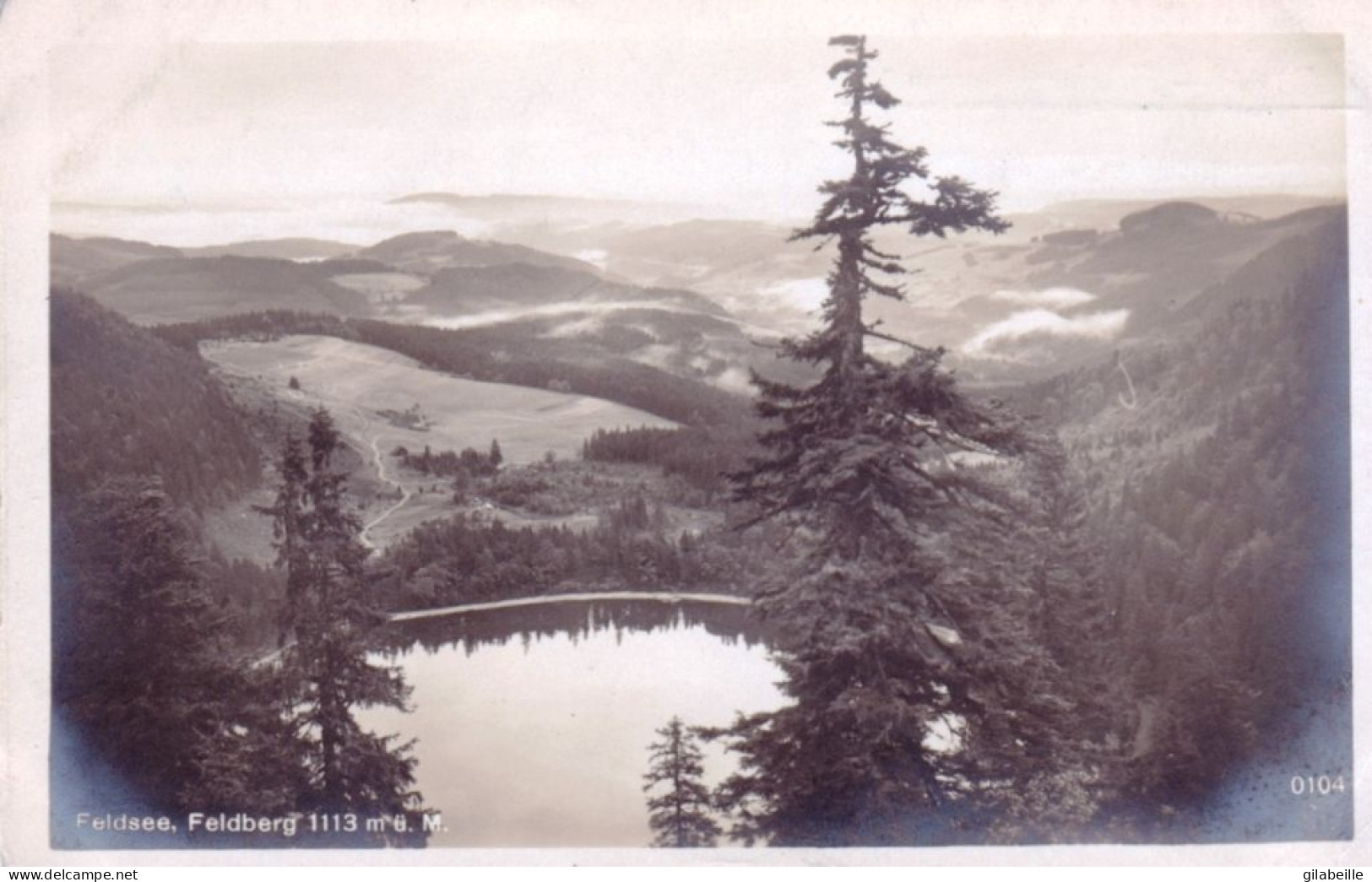 Bade-Wurtemberg - FELDBERG -  Feldsee