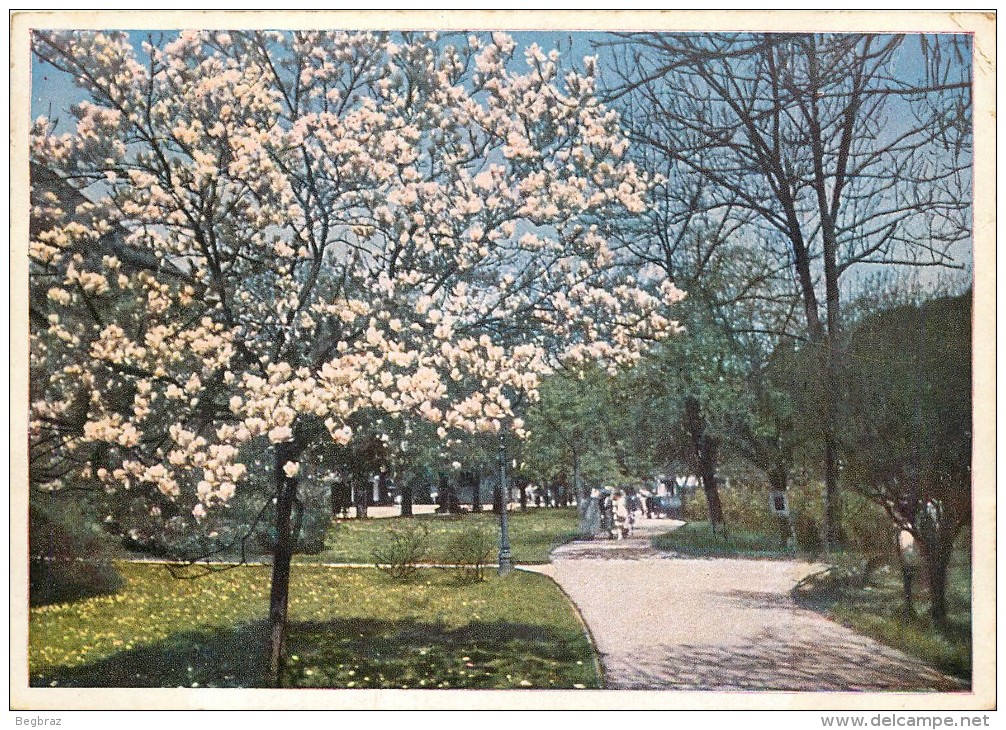 BADEN BADEN       LICHTENTALER ALLEE