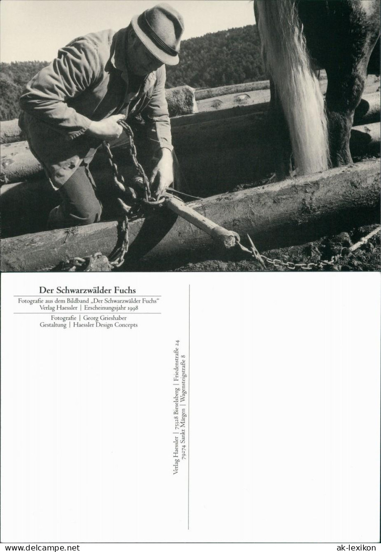 .Baden-Württemberg Der Schwarzwälder Fuchs, Holz Verarbeiter 1998
