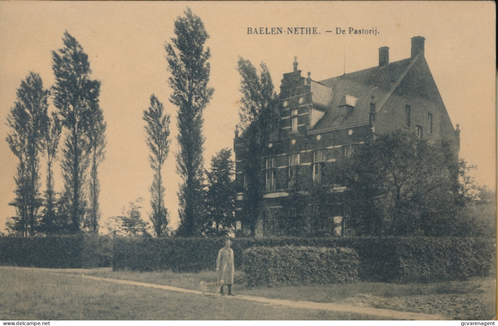 BAELEN NETHE      DE PASTORIJ