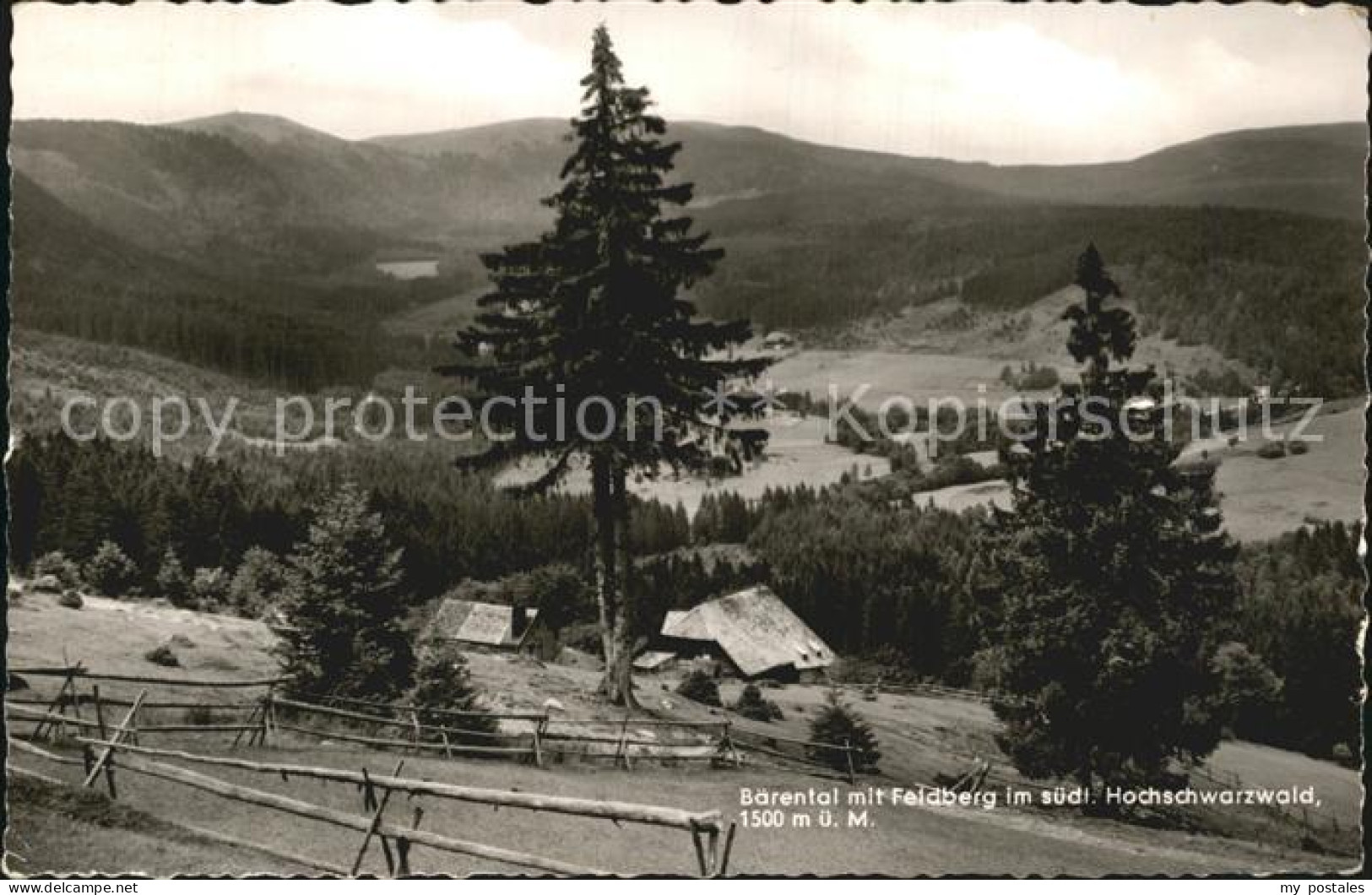 Baerental Feldberg Blick zum Feldberg