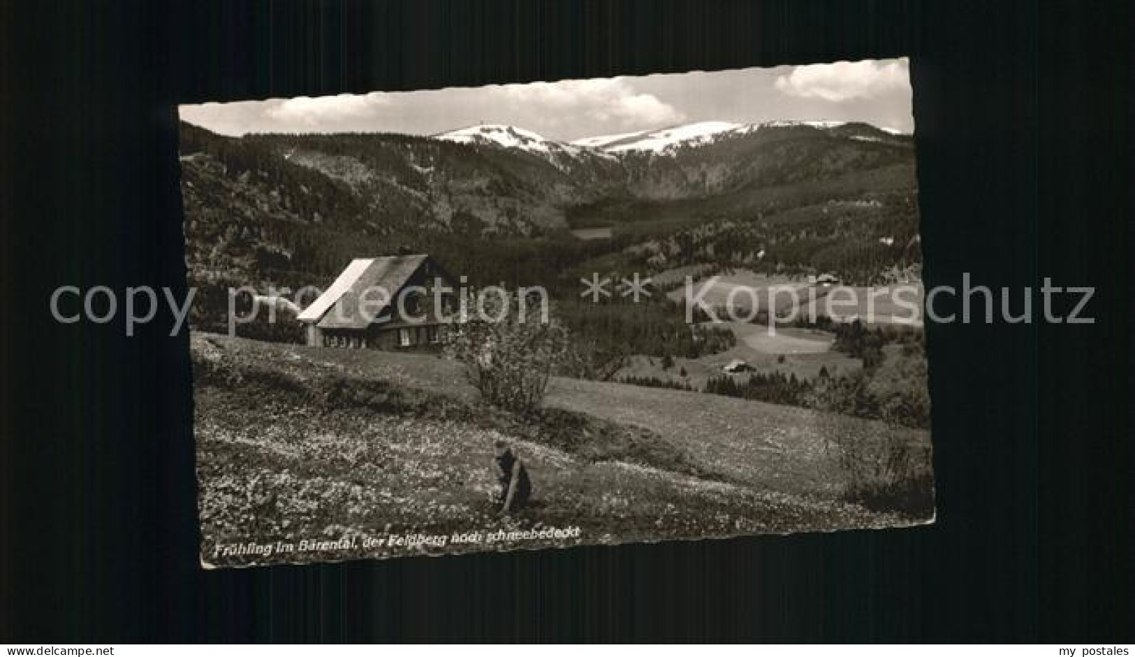 Baerental Feldberg mit Feldberg